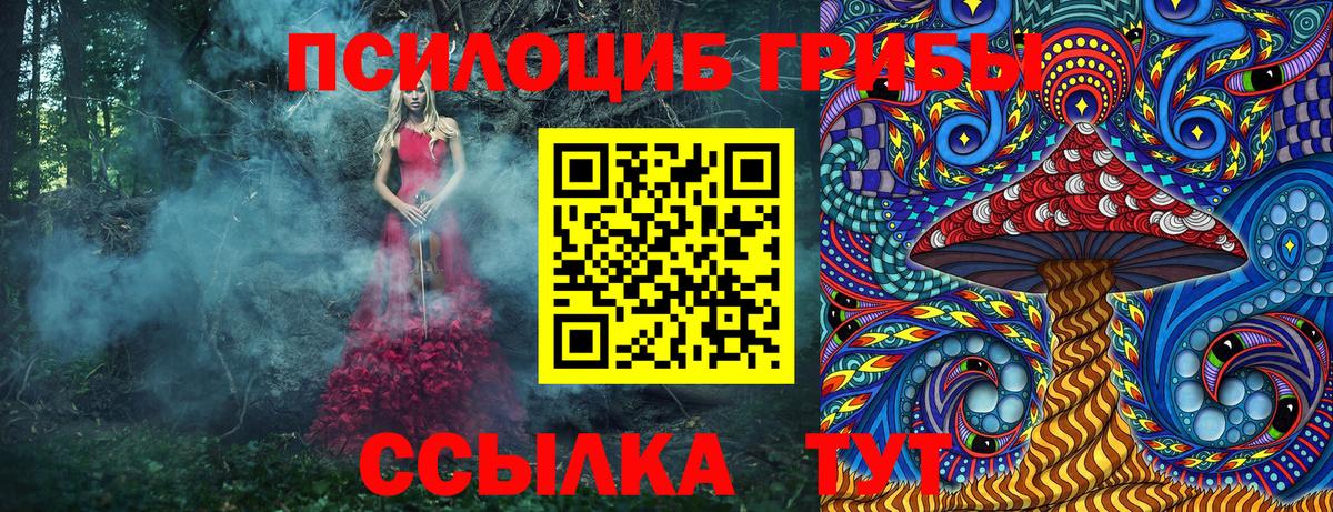 Псилоцибиновые грибы GOLDEN TEACHER Одинцово