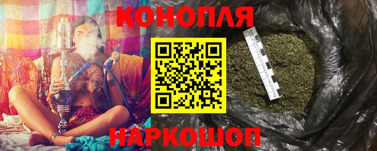 Бошки Шишки планчик Одинцово